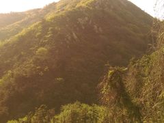 -木兰云雾山