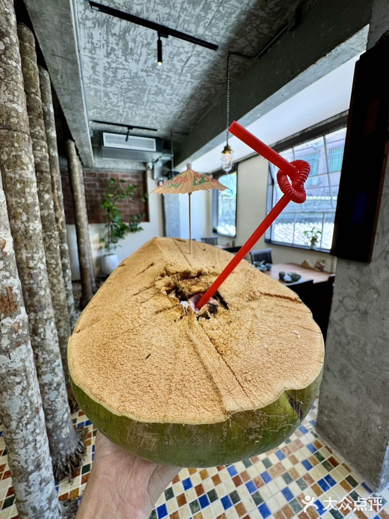 秋老虎来了⁉️不怕！我有清润椰子鸡煲~