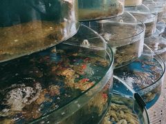 -蓝珊甄选海鲜自助·火锅大排档(近阿那亚店)