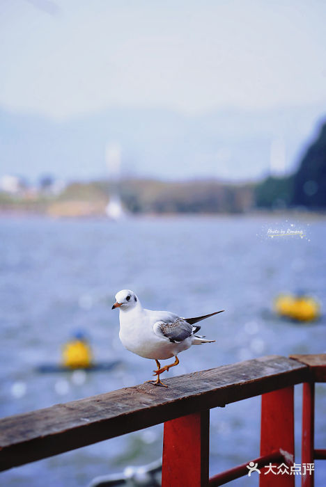 海埂大坝图片