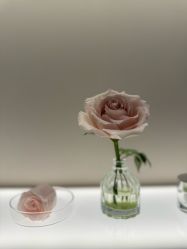 -丽妍雅集 Rubis SPA