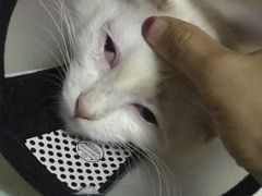 -荔康动物医院(康王北路店)