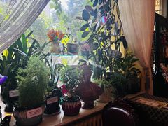 -露西亚咖啡西餐厅(哈尔滨俄侨纪念馆店)