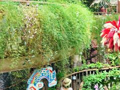 -正佳雨林生态植物园