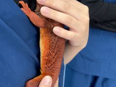 -博特宠物医院24h犬猫全科.骨科·异宠
