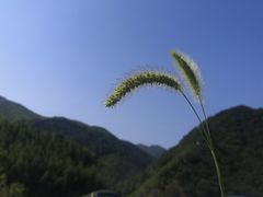 -雅鲁激流探险漂流