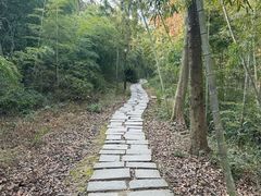 -宝界山林公园
