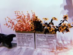 -肆兮眼镜·蔡司·徕卡战略合作店(大坪店)