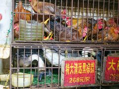 -伍哥厨房(新滘东路店)