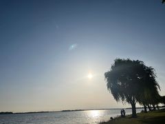 -漕湖湿地公园