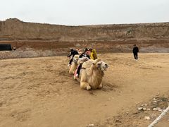 -水洞沟旅游区