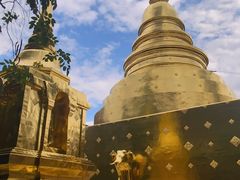 -帕辛寺