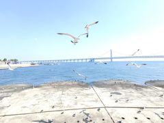 -星海广场