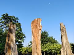 -金钉子远古世界景区