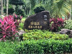 -呀诺达热带雨林