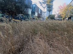 -万科前海企业公馆