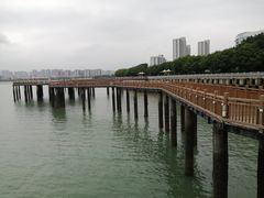 -五缘湾湿地公园