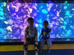 -烟台海昌鲸鲨海洋公园