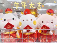 -AEON永旺(东方宝泰店)