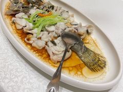 -宝园酒家(美林M·LIVE天地东座店)