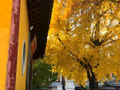 -上海青龙寺
