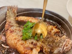 -九毛九西北菜(百信广场店)