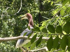 -人民公园(罗湖区)