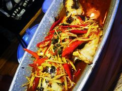 -听香·678茶铺(猛追湾店)