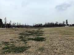 -国际非物质文化遗产博览园