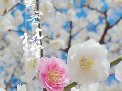 -北京明城墙遗址公园