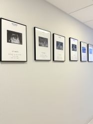 -杭州贝瑞斯美华妇儿医院·早孕·产检·儿科