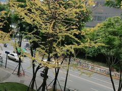 -锦城印象火锅(天府三街店)