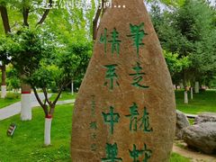 -雁滩公园