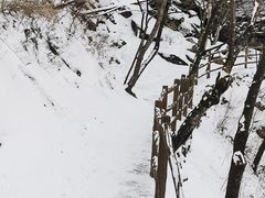 -洛阳白云山景区