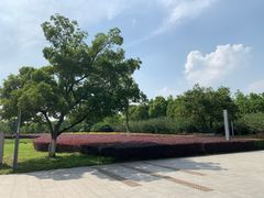-九里河湿地公园