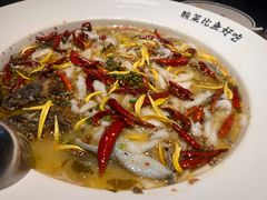 老坛子酸菜鱼-太二酸菜鱼(中山龙之梦店)