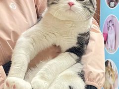 -lincat·猫舍(广州店)