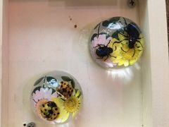 -正佳雨林生态植物园