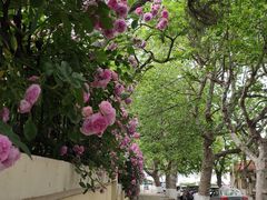 -青岛第三海水浴场