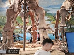 -自贡恐龙博物馆