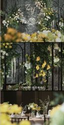 -CHOCO-启蔻婚礼(三亚公司)