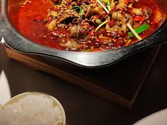 -宽口美蛙鱼头(大唐西市店)