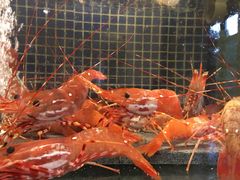 -万鱼亭 日本料理(无锡香山名园店)