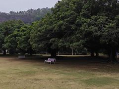 -南沙蒲洲花园