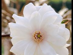 -国家植物园