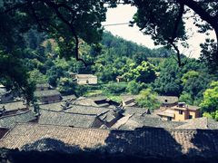 -杨家堂村