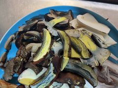 -菌之家·专业纯野生菌火锅·特色炒菌