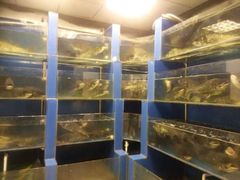 android_upload_pic-永安鱼庄·镇江菜(东吴路店)