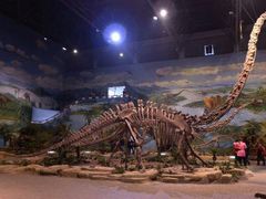 -自贡恐龙博物馆