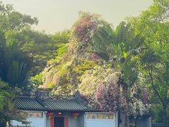 -深圳国际园林花卉博览园